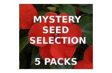 MYSTERY VALUE SELECTION OF 5 PACKS OF SEEDS MYSTERY VALUE SELECTION OF 5 PACKS OF SEEDS
